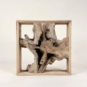 Racine de teck 50x50 cm